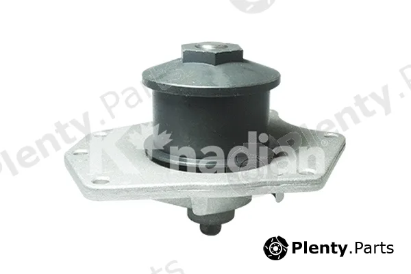 K'nadian P624 — Water Pump, engine cooling