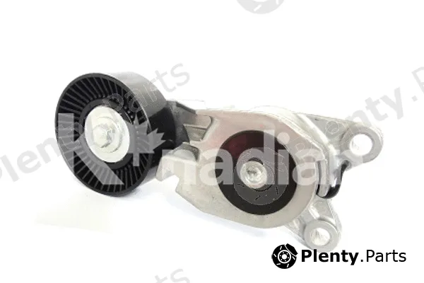 K'nadian 90208 — Tensioner Lever, V-ribbed belt