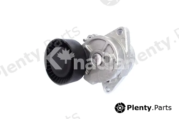 K'nadian 90343 — Tensioner Lever, V-ribbed belt