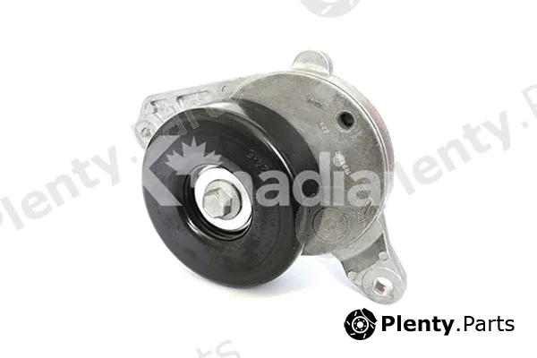 K'nadian 90229 — Tensioner Lever, V-ribbed belt