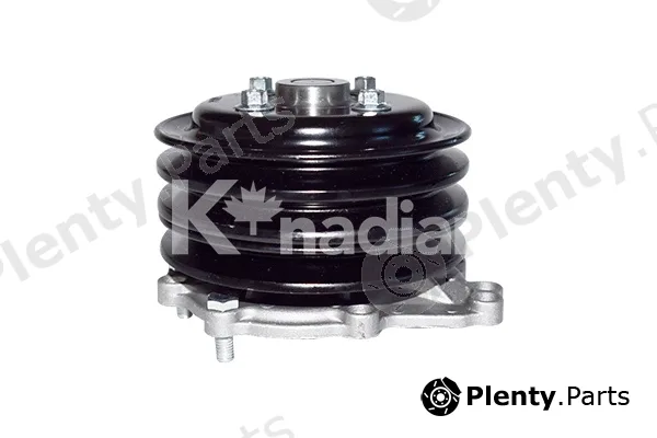 K'nadian P690 — Water Pump, engine cooling
