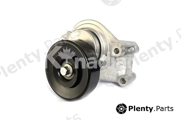 K'nadian 90255 — Tensioner Lever, V-ribbed belt