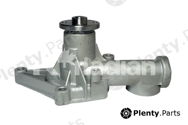 K'nadian P842 — Water Pump, engine cooling