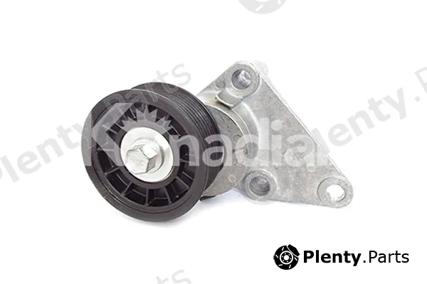 K'nadian 90253 — Tensioner Lever, V-ribbed belt