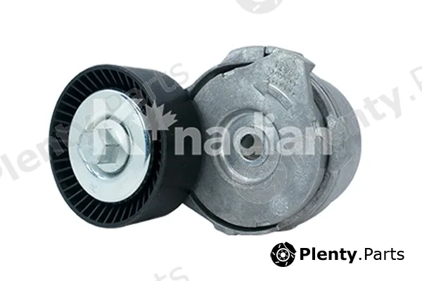 K'nadian 90631 — Tensioner Lever, V-ribbed belt