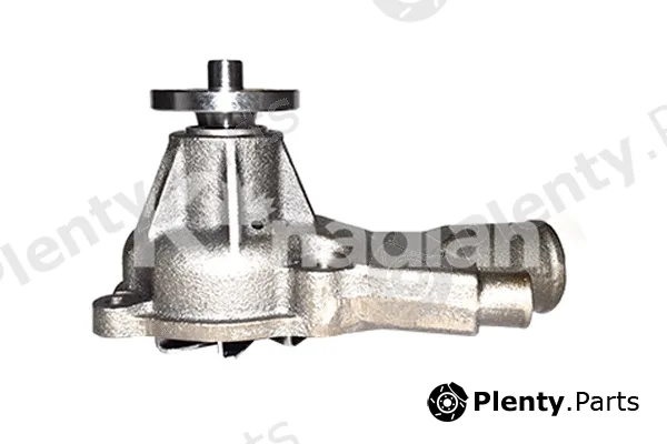 K'nadian P658 — Water Pump, engine cooling