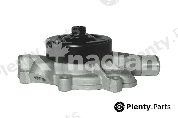 K'nadian P951 — Water Pump, engine cooling