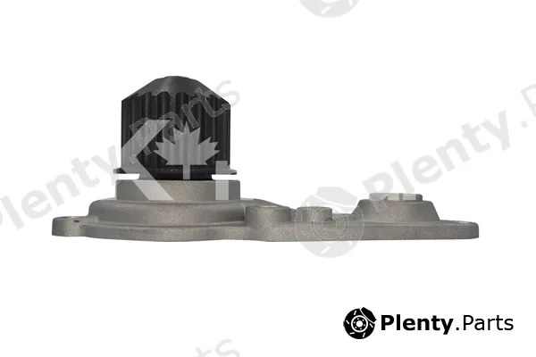 K'nadian P998 — Water Pump, engine cooling