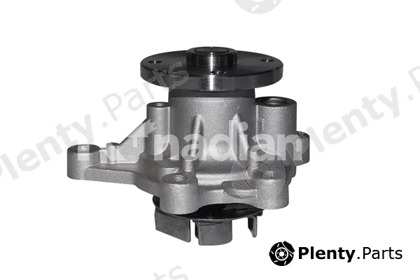 K'nadian P1013 — Water Pump, engine cooling