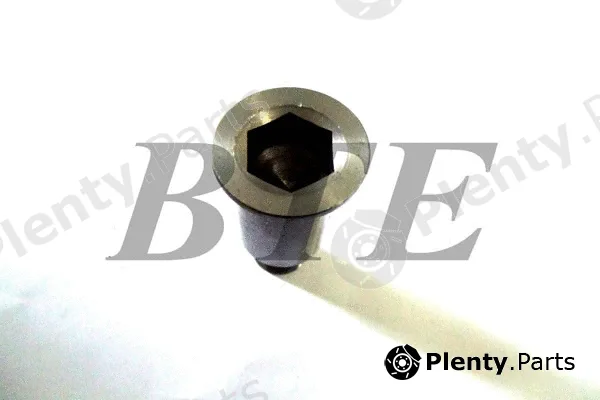 BTE 612930 — Bearing Journal, tensioner pulley lever