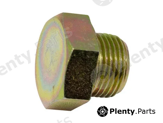 Ho Autopartes HO544 — Screw Plug, oil sump
