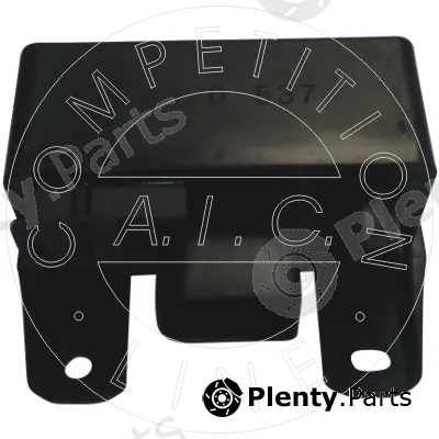 AIC 54920 — Control Unit, glow time Original AIC Quality