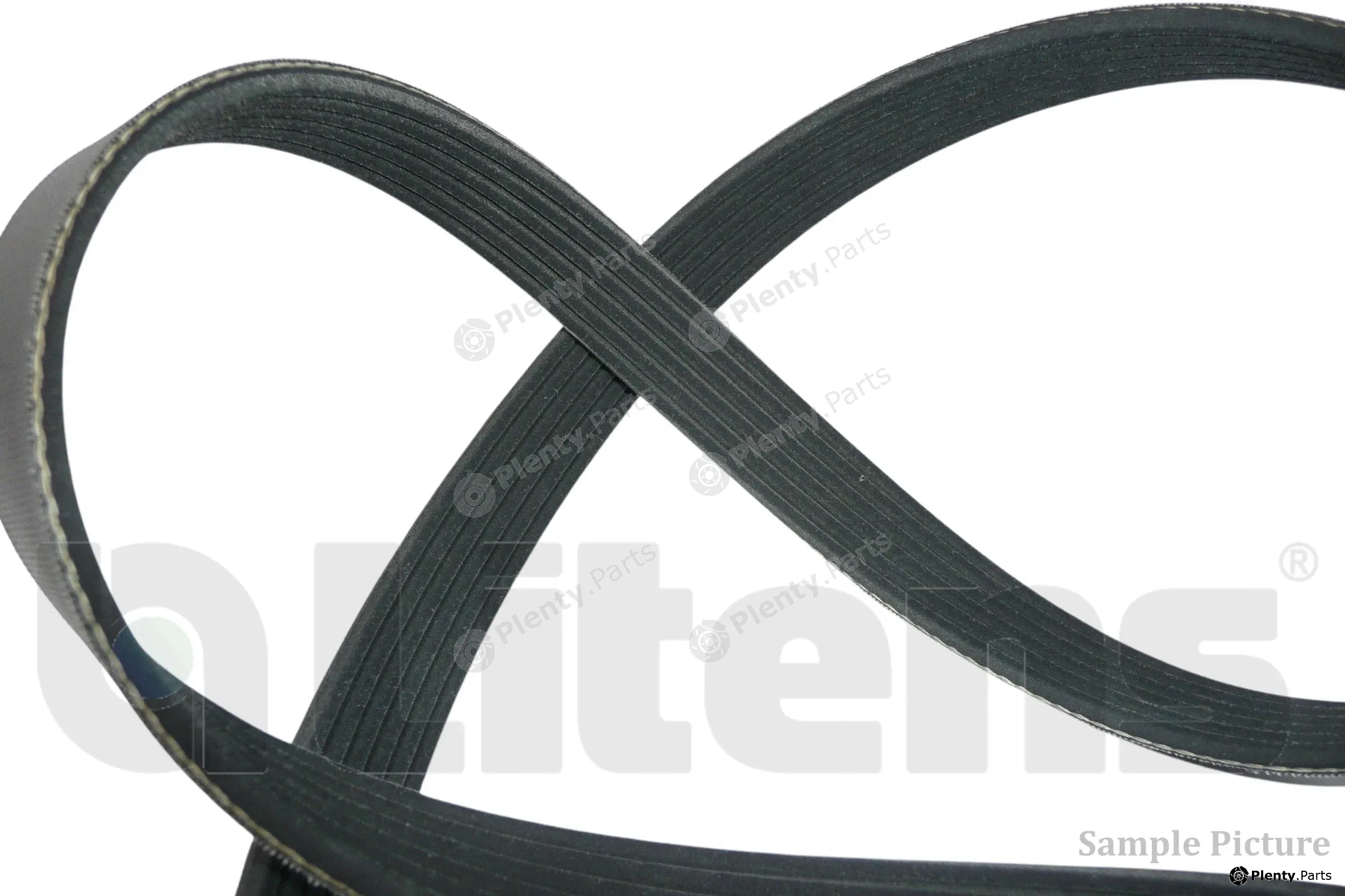 Litens LV6PK965 — V-Ribbed Belt