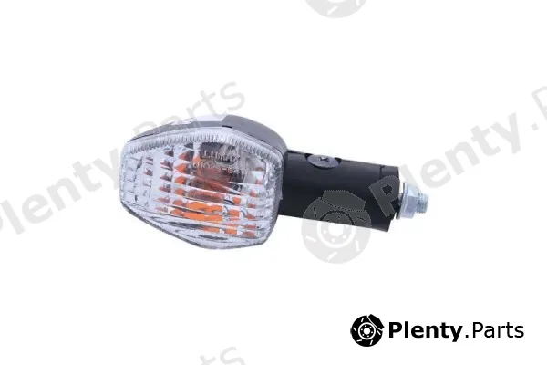 Lumax 216-BLA-GC-FLB — Direction Indicator