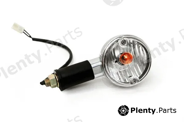 Lumax 206-BLA-E-CFLB — Direction Indicator