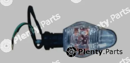 Lumax 220-BLA-SCP-C-FL — Direction Indicator
