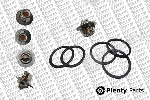 Storm Quality Parts 199026 — Thermostat, coolant