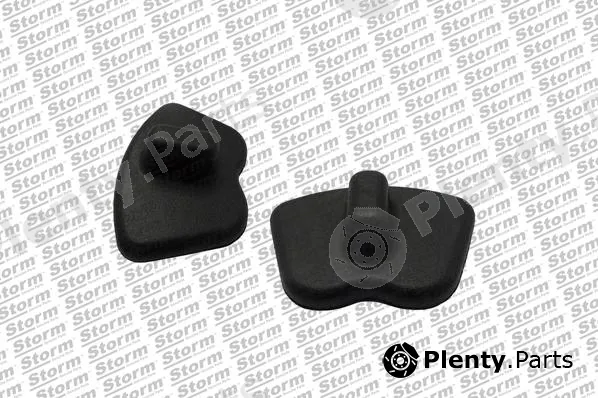 Storm Quality Parts 83645 — Tailgate Lock