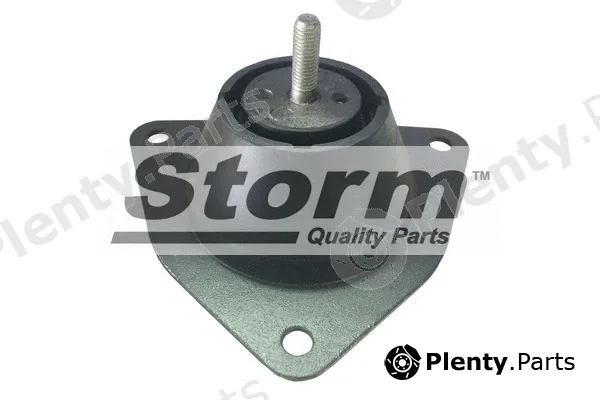 Storm Quality Parts F1999 — Mounting, engine