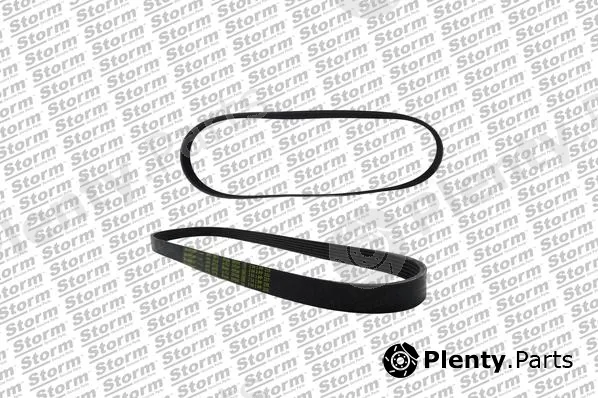Storm Quality Parts 6PK0975 — V-Ribbed Belt