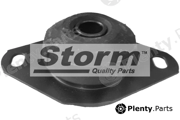 Storm Quality Parts F2017 — Mounting, engine