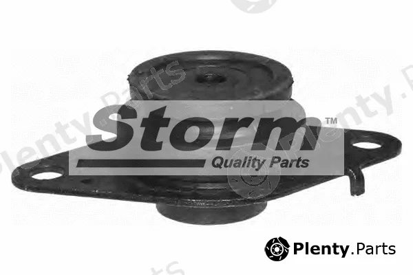 Storm Quality Parts F2000 — Mounting, engine