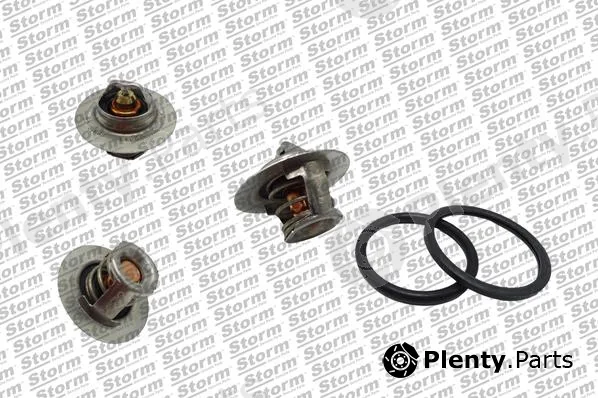 Storm Quality Parts 199024 — Thermostat, coolant