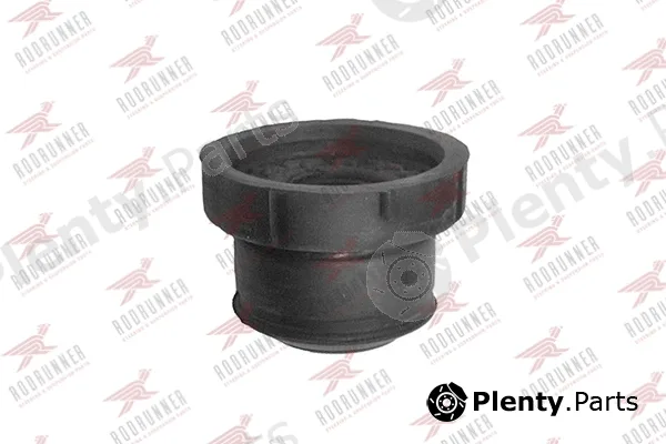 Rodrunner BC-AF-BS011 — Mounting, control/trailing arm
