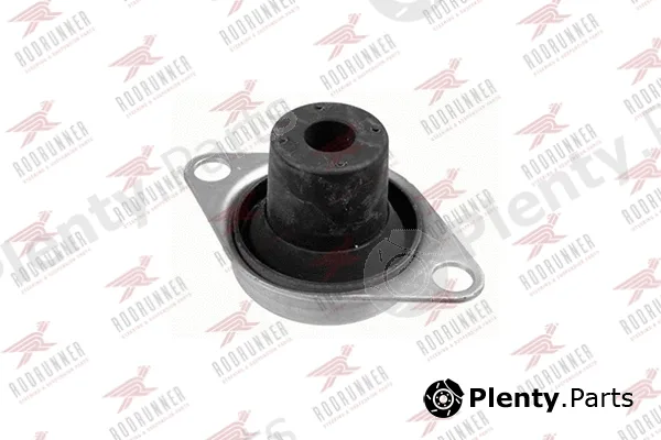 Rodrunner BC-FI-EM079 — Mounting, engine