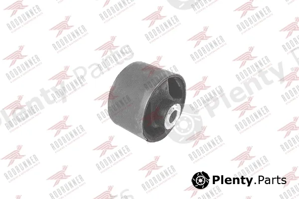 Rodrunner BC-SK-TM001 — Mounting, engine