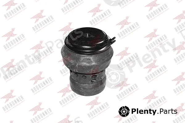 Rodrunner BC-VW-EM031 — Mounting, engine