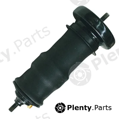Powerdown 201180K — Shock Absorber, driver cab suspension Powerdown