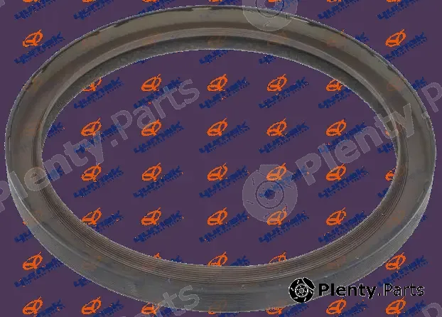 Yumak 106.06.006 — Shaft Seal, crankshaft