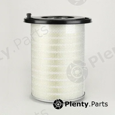 Donaldson-AU P771573 — Air Filter