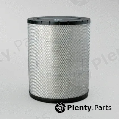 Donaldson-AU P181120 — Air Filter