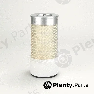 Donaldson-AU P546566 — Air Filter