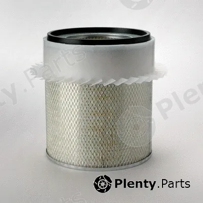 Donaldson-AU P182000 — Air Filter