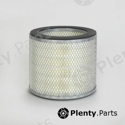 Donaldson-AU P776302 — Air Filter
