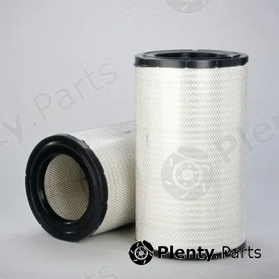 Donaldson-AU P781098 — Air Filter