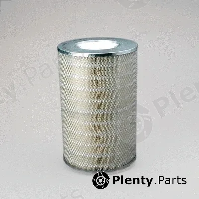 Donaldson-AU P181028 — Air Filter
