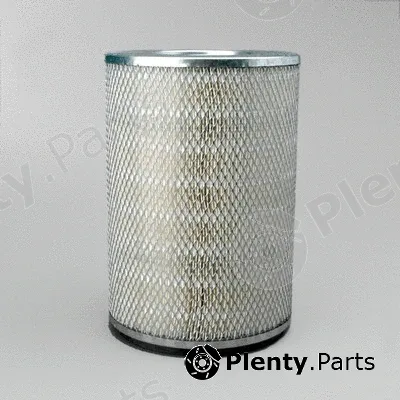 Donaldson-AU P182034 — Air Filter