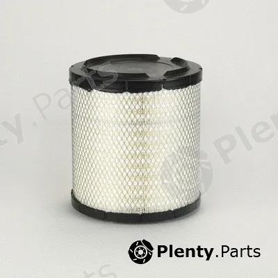 Donaldson-AU P849069 — Air Filter