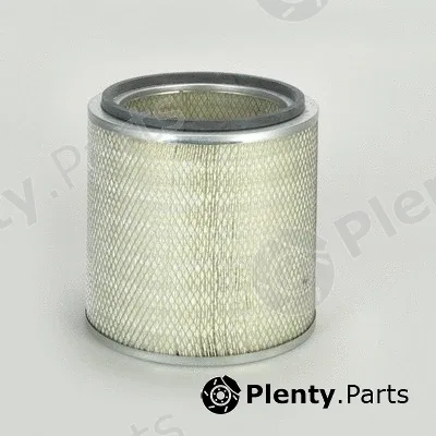 Donaldson-AU P771551 — Air Filter