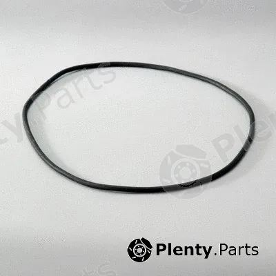 Donaldson-AU P018293 — Gasket Set, intake/exhaust manifold