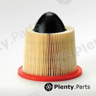 Donaldson-AU P546597 — Air Filter