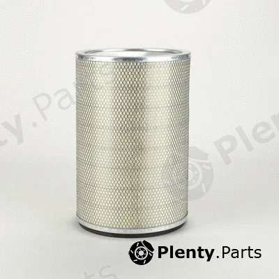 Donaldson-AU P145859 — Secondary Air Filter