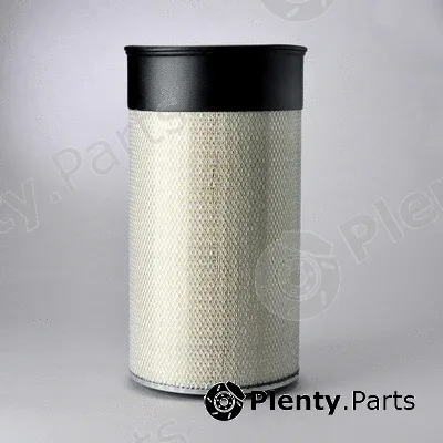 Donaldson-AU P182078 — Air Filter
