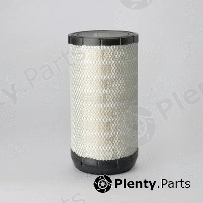 Donaldson-AU P628327 — Air Filter
