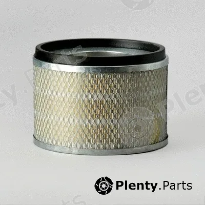 Donaldson-AU P181125 — Air Filter