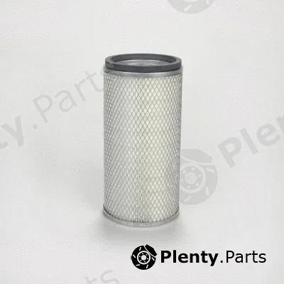 Donaldson-AU P119371 — Secondary Air Filter
